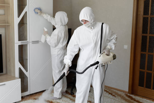 Mold Removal Process in Iota, LA